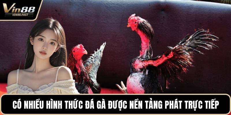 Có nhiều hình thức đá gà được nền tảng phát trực tiếp